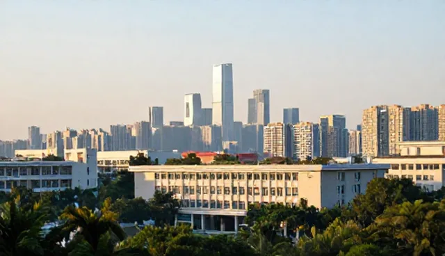 地区网络选择的适用条件及处理方法